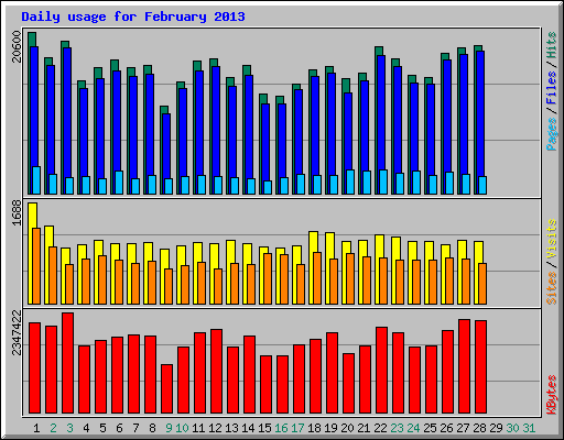 Daily usage for February 2013