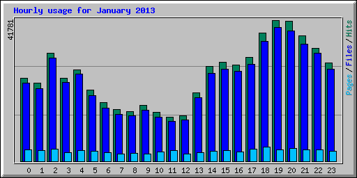 Hourly usage for January 2013