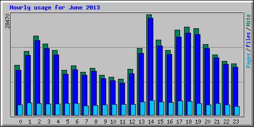 Hourly usage for June 2013