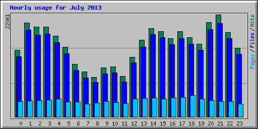 Hourly usage for July 2013