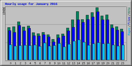 Hourly usage for January 2016