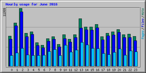 Hourly usage for June 2016